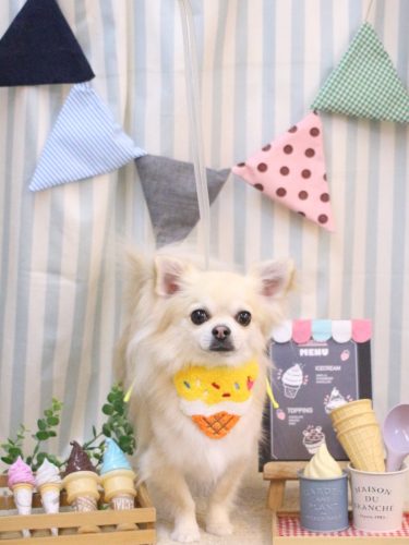 20250504とわくん